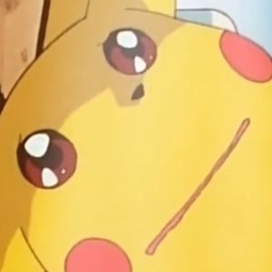 Meet your Posher, Sage